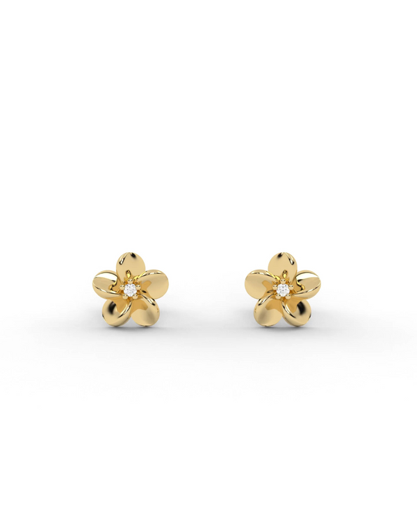 Hibiscus Studs